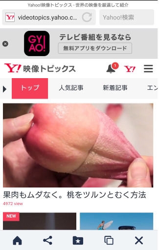 【微アダルト】エロくないのに、見える人にはそう見えちゃう画像