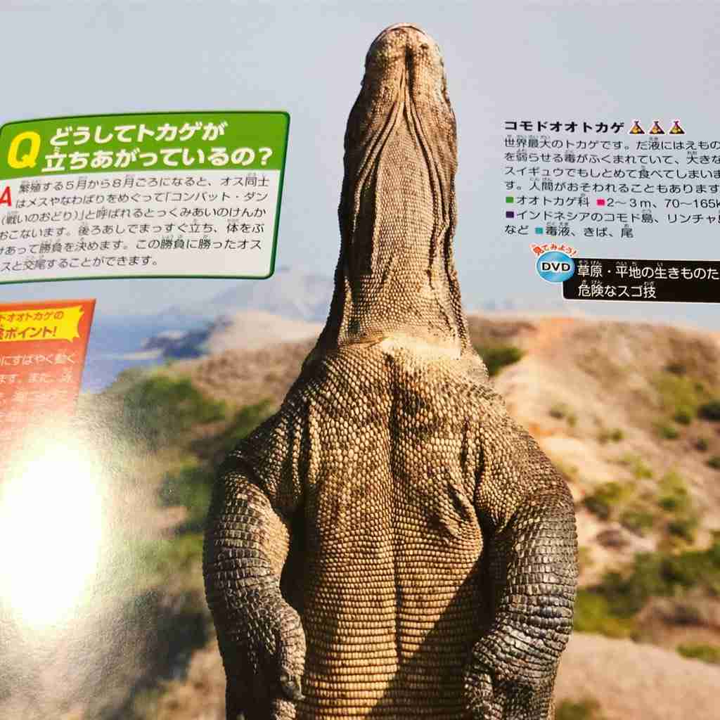【微アダルト】エロくないのに、見える人にはそう見えちゃう画像
