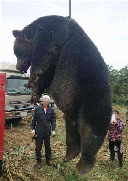 経験上、ガチでやめておけってこと