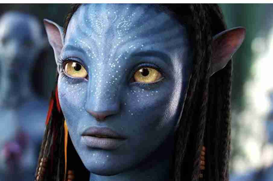 独特な表情に魅せられてお迎えした子猫の「11年後の姿」にギャップ萌え! 飼い主が「愛おしい」と再確認した1枚