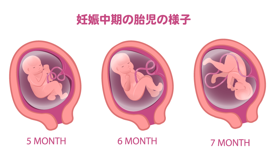 妊娠中期の方、語りませんかpart27