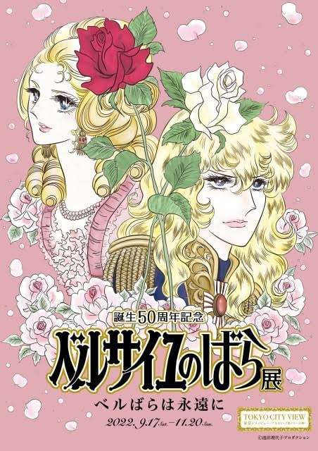 タイプの顔（漫画・アニメの女性キャラ）