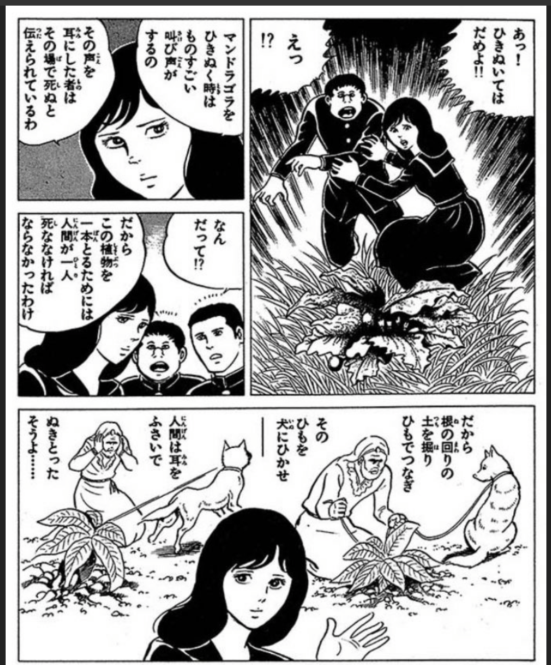 タイプの顔（漫画・アニメの女性キャラ）