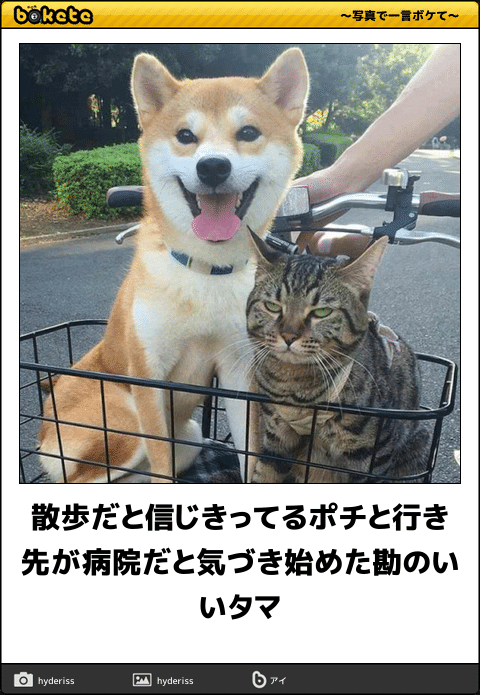 何度見ても秀逸だと思う「bokete」を貼っていくトピPart11