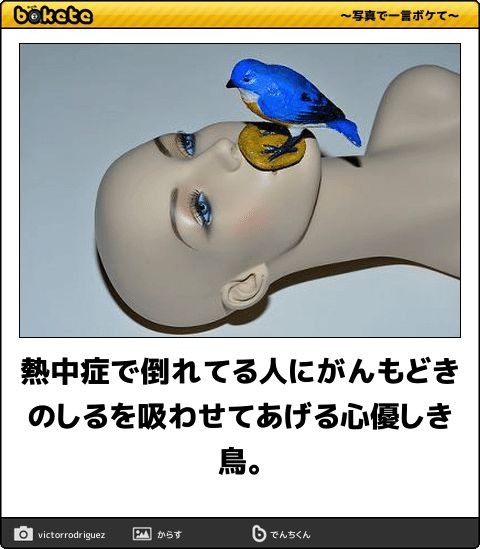 何度見ても秀逸だと思う「bokete」を貼っていくトピPart11