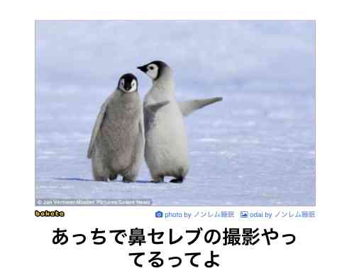 何度見ても秀逸だと思う「bokete」を貼っていくトピPart11
