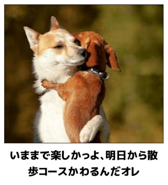 何度見ても秀逸だと思う「bokete」を貼っていくトピPart11