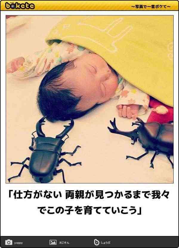 何度見ても秀逸だと思う「bokete」を貼っていくトピPart11