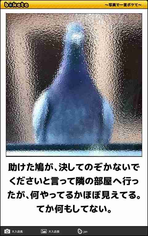 何度見ても秀逸だと思う「bokete」を貼っていくトピPart11