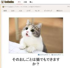 何度見ても秀逸だと思う「bokete」を貼っていくトピPart11