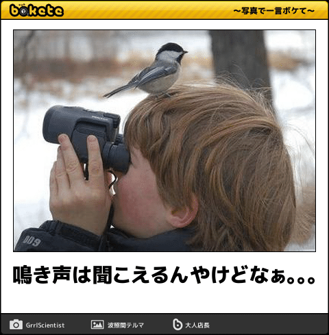 何度見ても秀逸だと思う「bokete」を貼っていくトピPart11