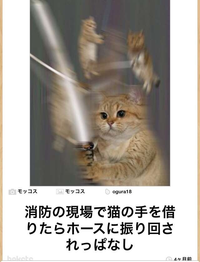 何度見ても秀逸だと思う「bokete」を貼っていくトピPart11
