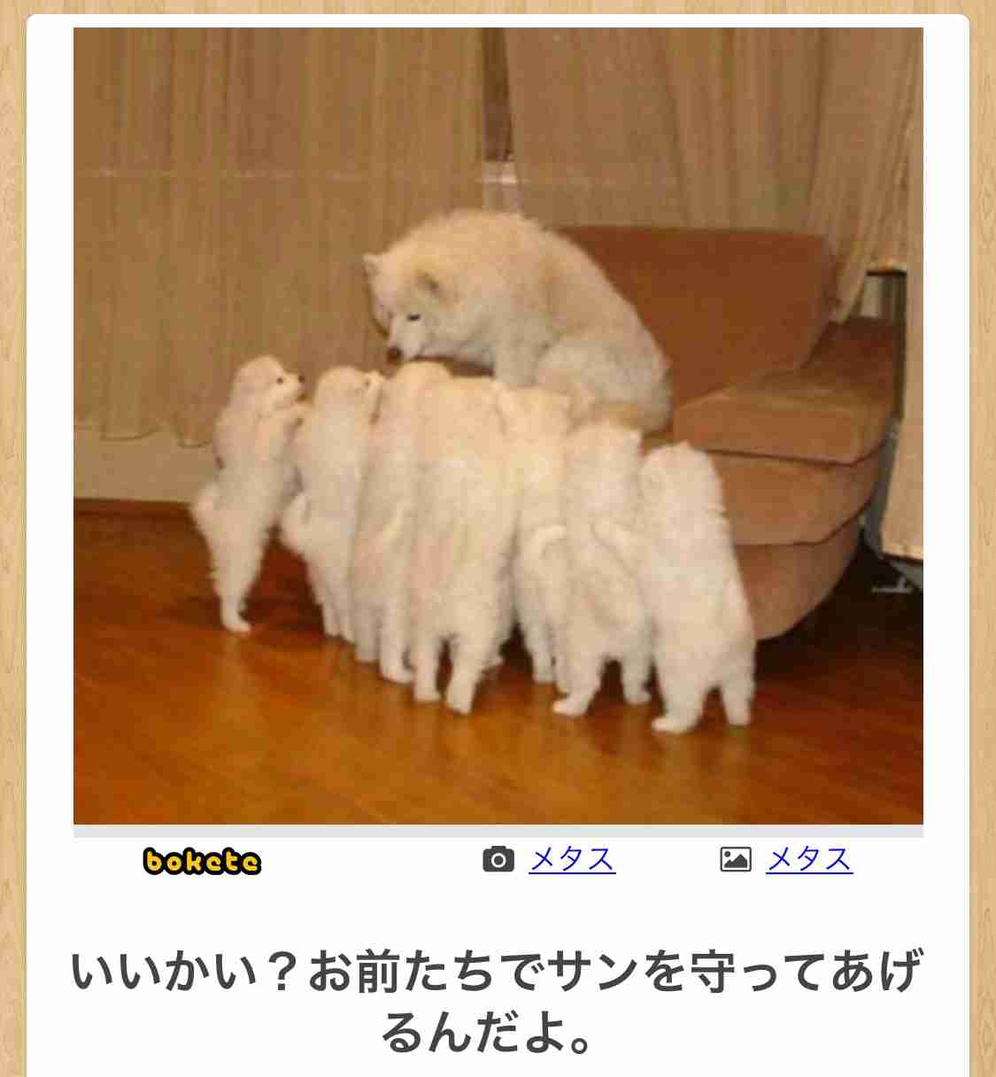 何度見ても秀逸だと思う「bokete」を貼っていくトピPart11
