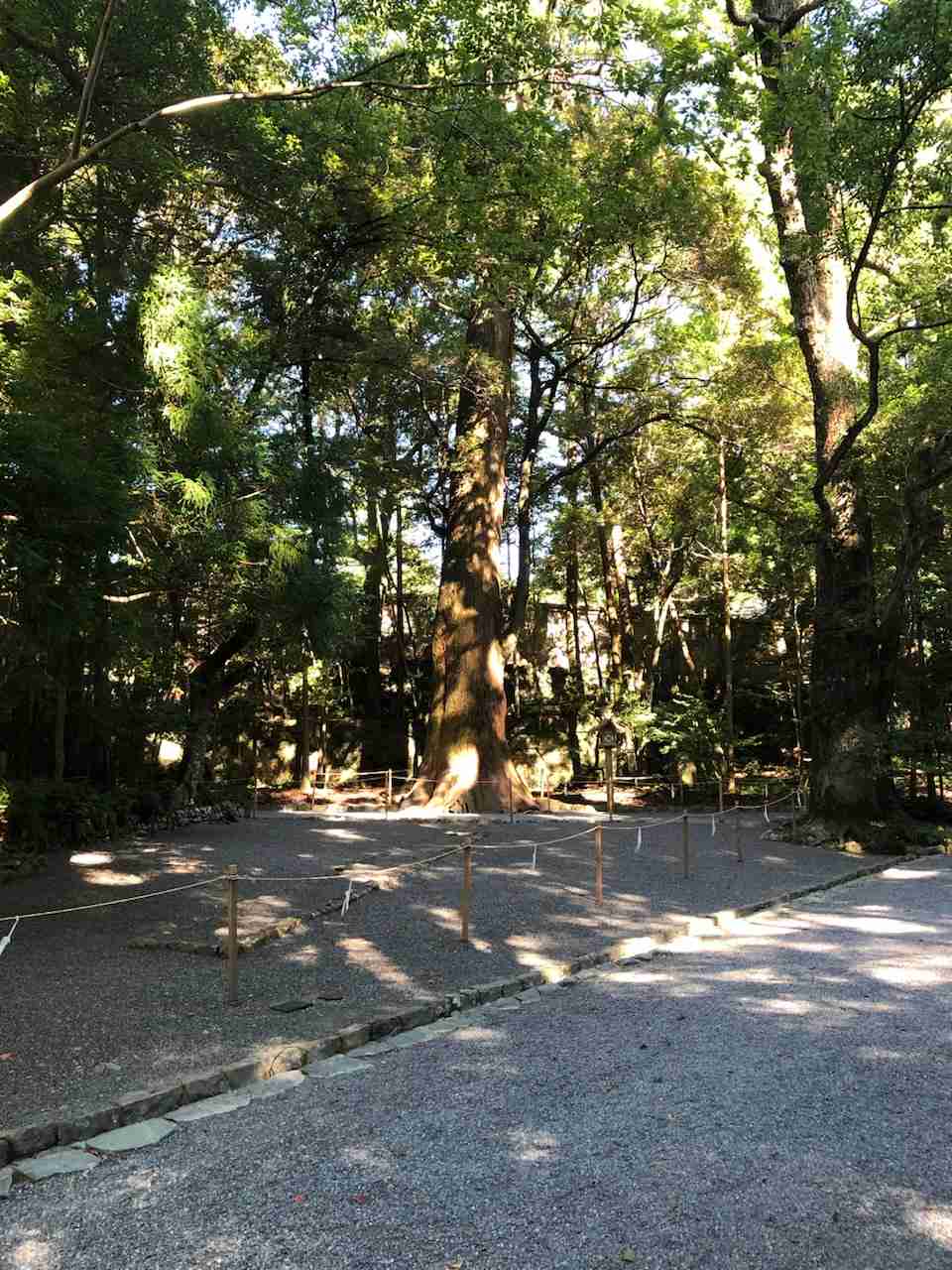【パワースポット】自分で撮影した神社の写真貼るトピpart2