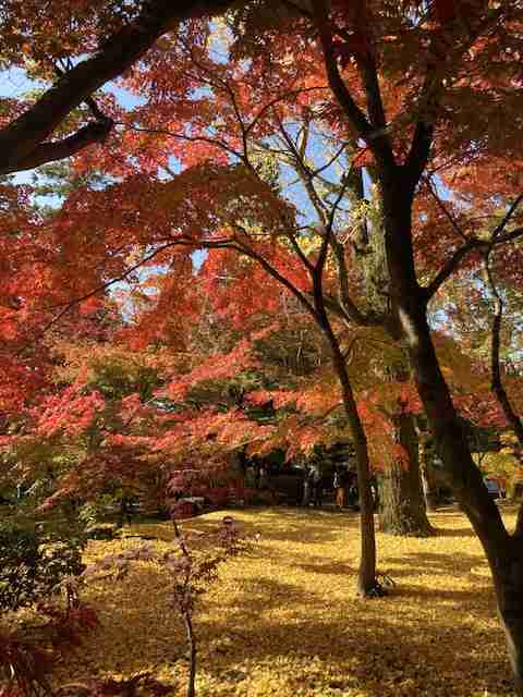 【パワースポット】自分で撮影した神社の写真貼るトピpart2