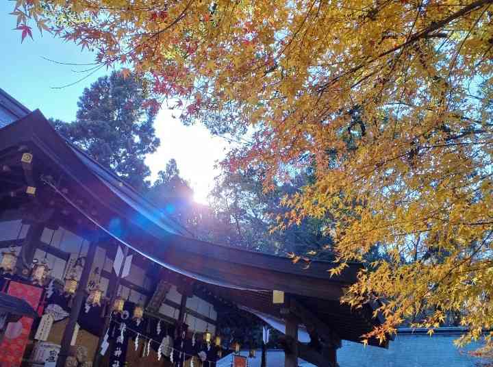 【パワースポット】自分で撮影した神社の写真貼るトピpart2