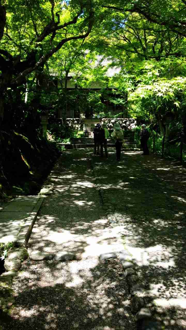 【パワースポット】自分で撮影した神社の写真貼るトピpart2