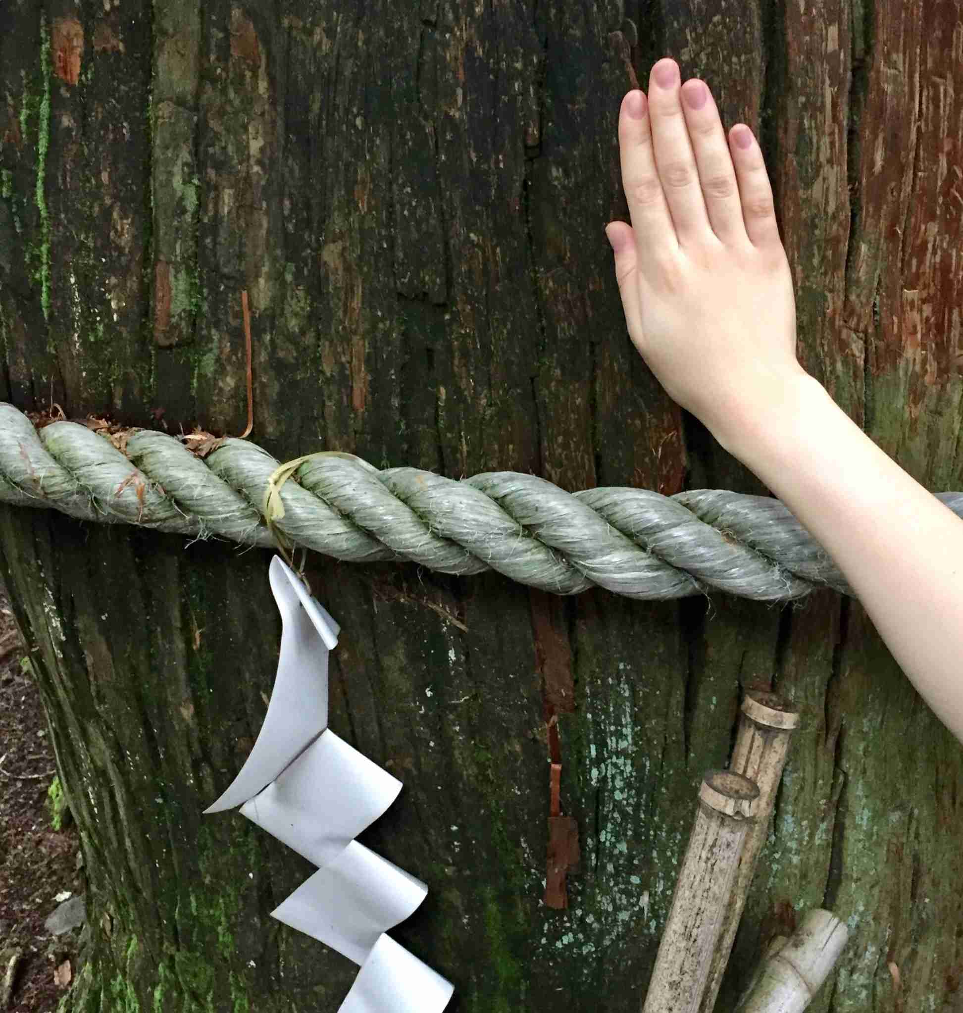 【パワースポット】自分で撮影した神社の写真貼るトピpart2