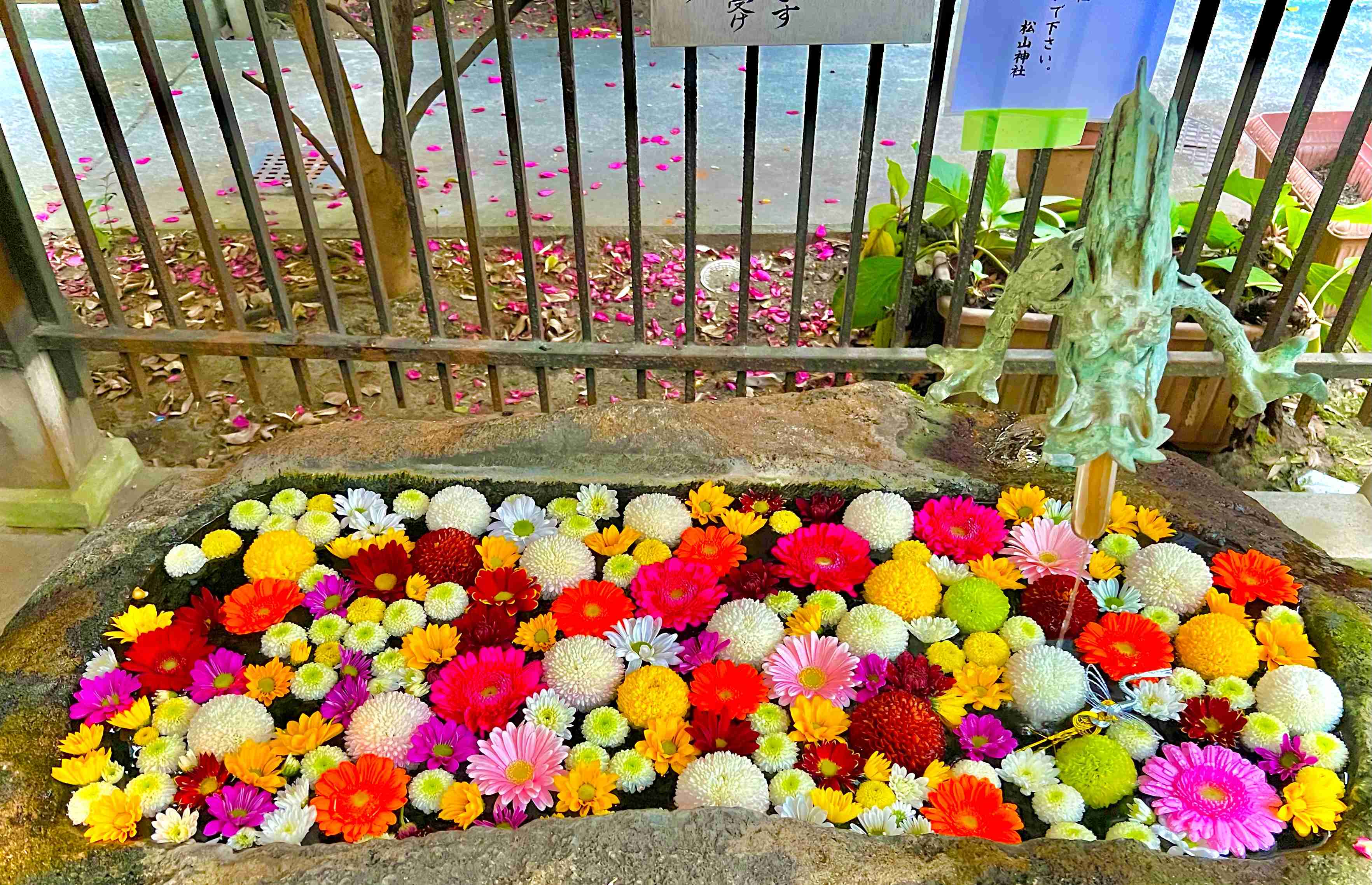 【パワースポット】自分で撮影した神社の写真貼るトピpart2