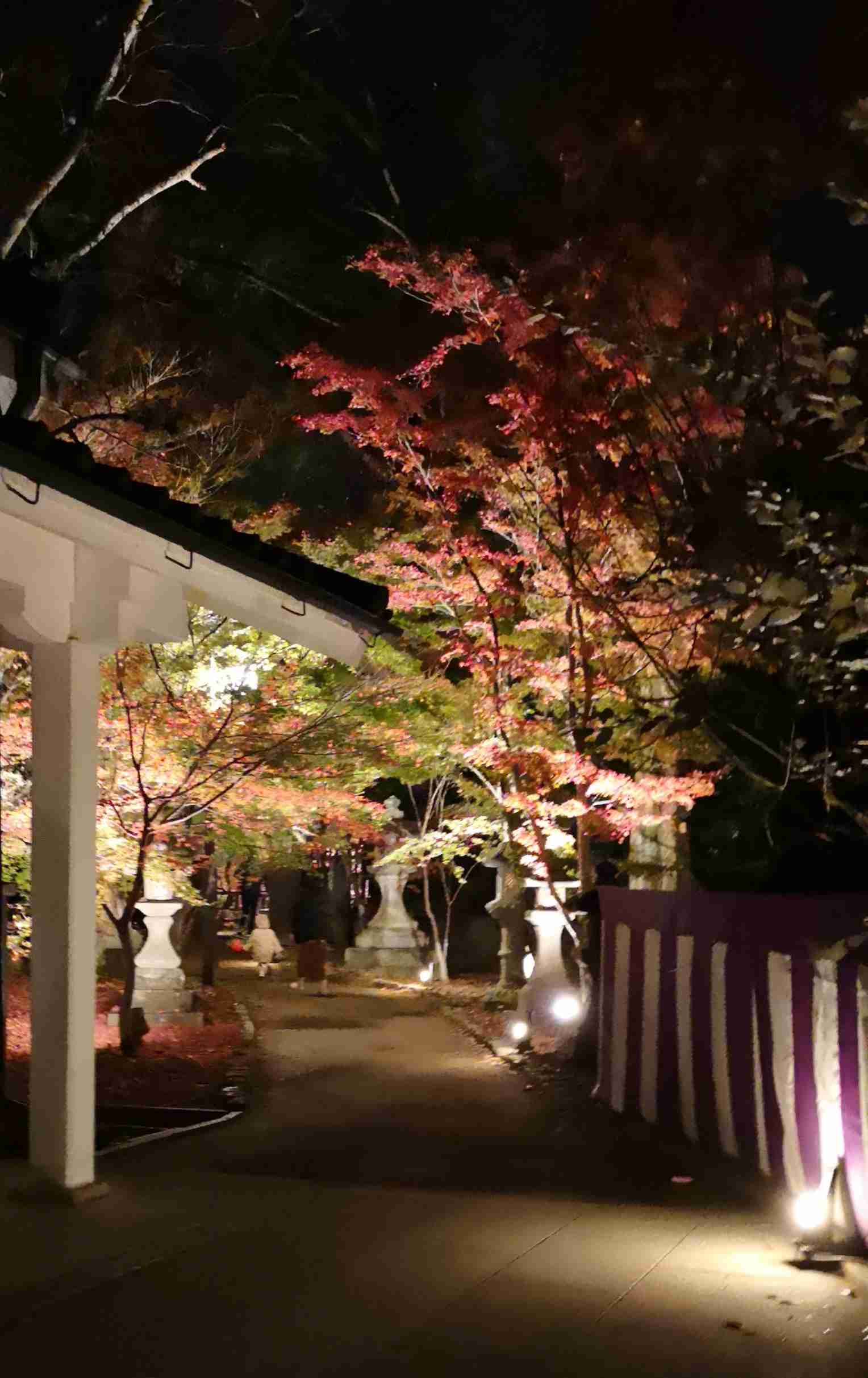 【パワースポット】自分で撮影した神社の写真貼るトピpart2