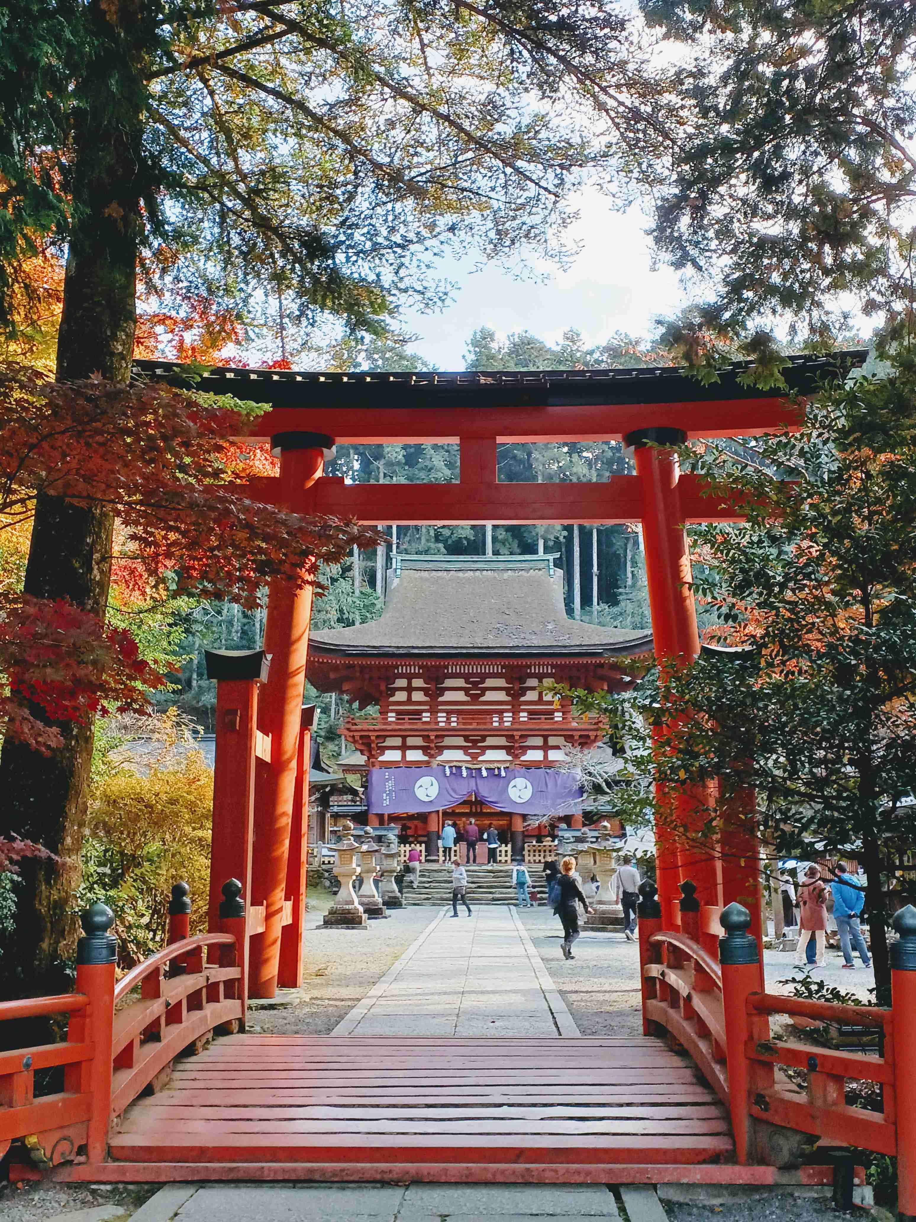 【パワースポット】自分で撮影した神社の写真貼るトピpart2