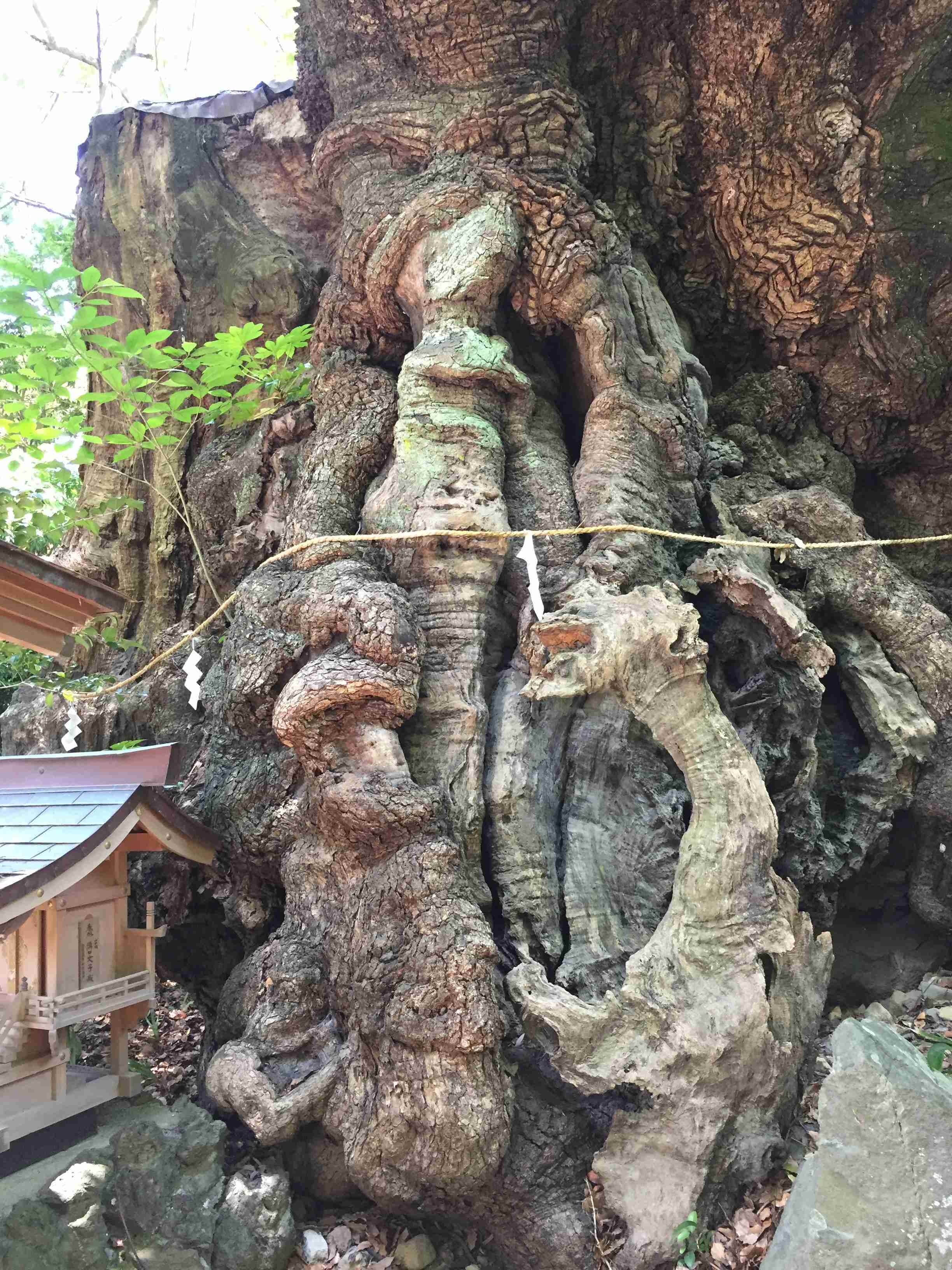 【パワースポット】自分で撮影した神社の写真貼るトピpart2