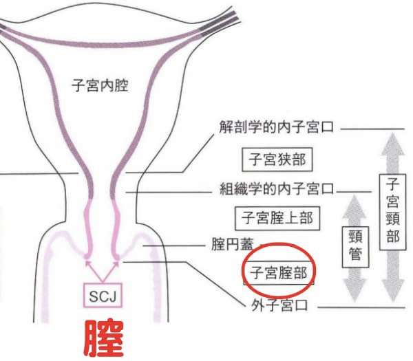 【アダルト】こんな経験した事あったらプラス　PART3