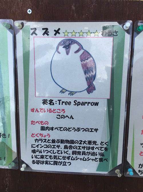 人間以外で生まれ変わるなら何がいい？