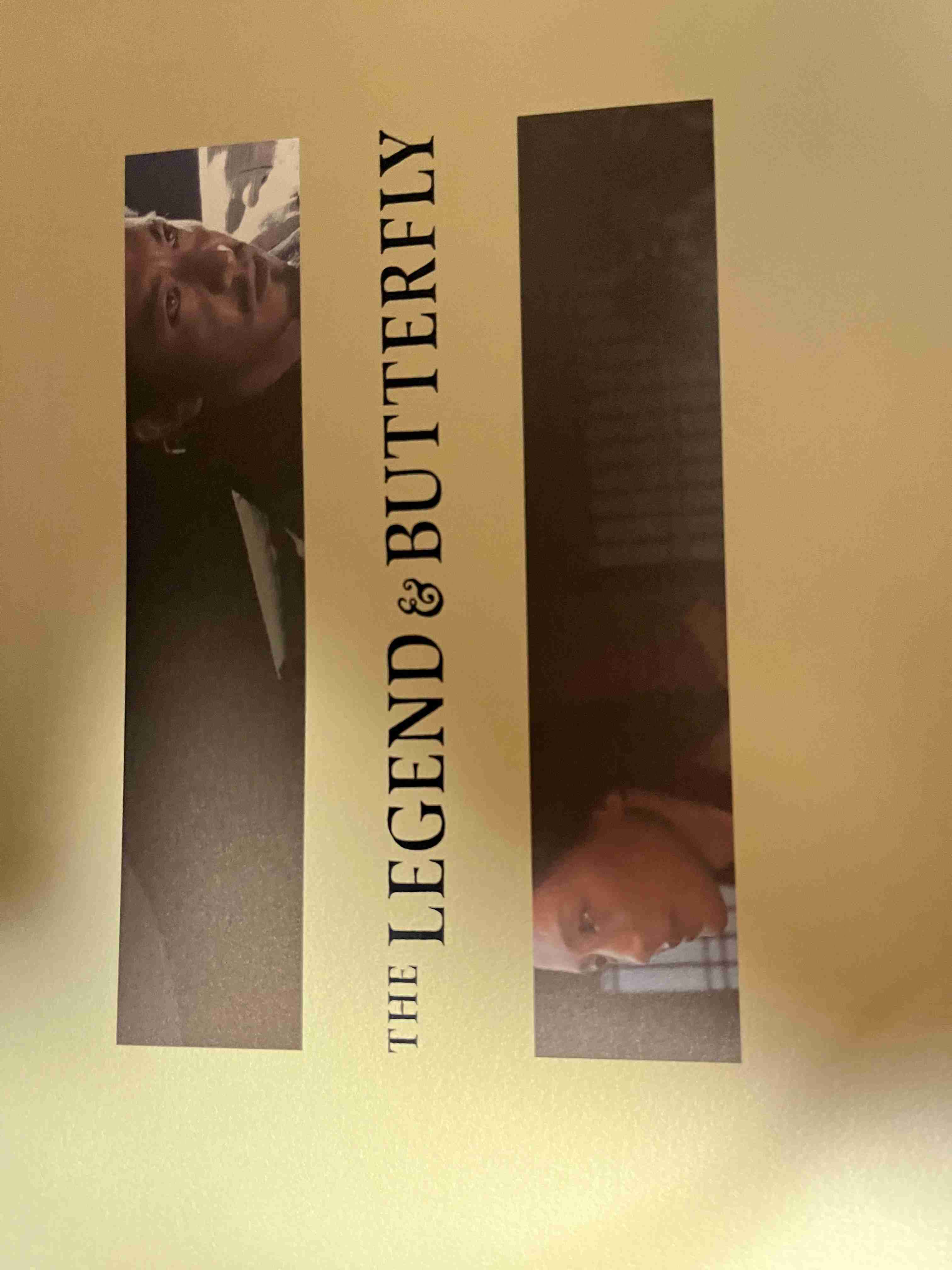 『THE LEGEND&BUTTERFLY/レジェンド・アンド・バタフライ』観た人!!【ネタバレ有り】