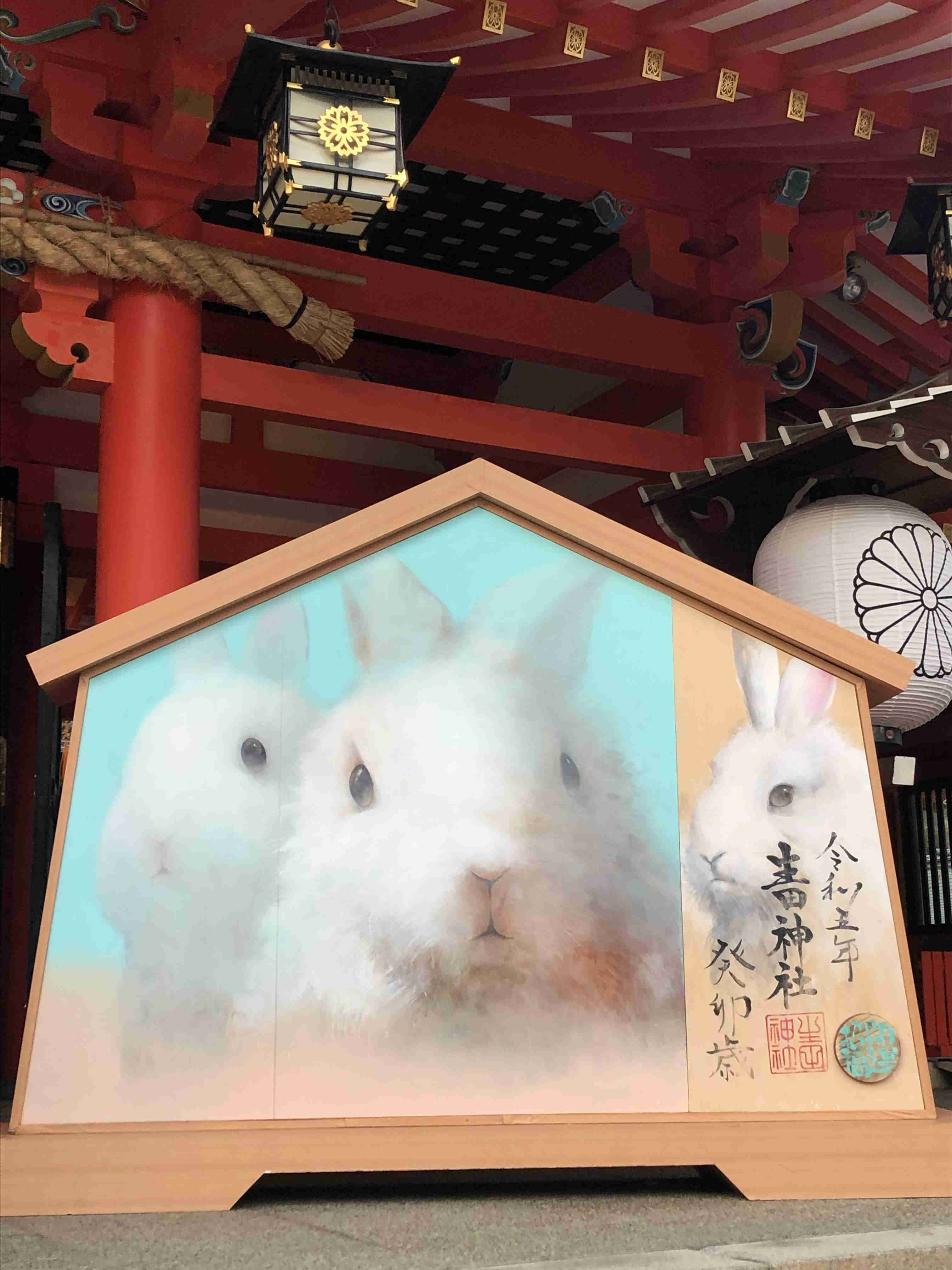 【卯年】年女集合！！【🐰】