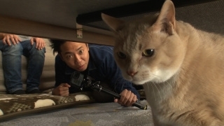 芸能人の画像にそれっぽい職業を設定してみる【part4】