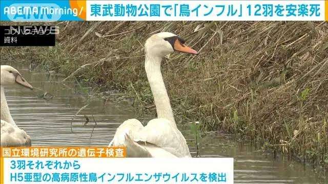 鳥インフル、殺処分数最多=全国1000万羽へ―茨城で大規模感染、宮崎でも疑い事例