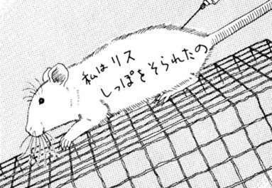 あなたが進学する学校に解剖実習がありますか？