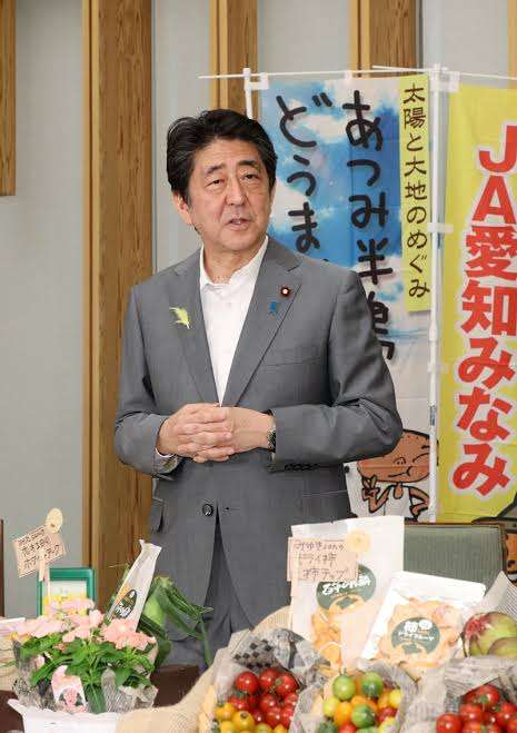 三原じゅん子議員｢走行距離課税｣が税制大綱に盛り込まれなかったと報告｢車社会なので助かりました｣安堵の声も
