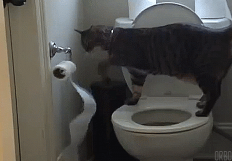 友達の家に行った時、トイレはどうする？