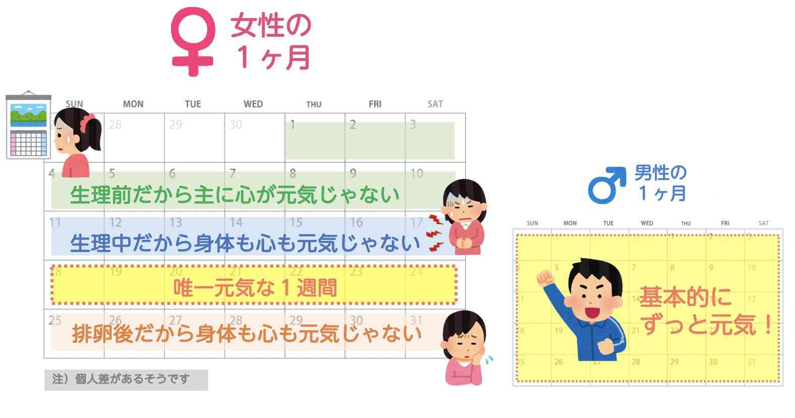 男に生まれたかった