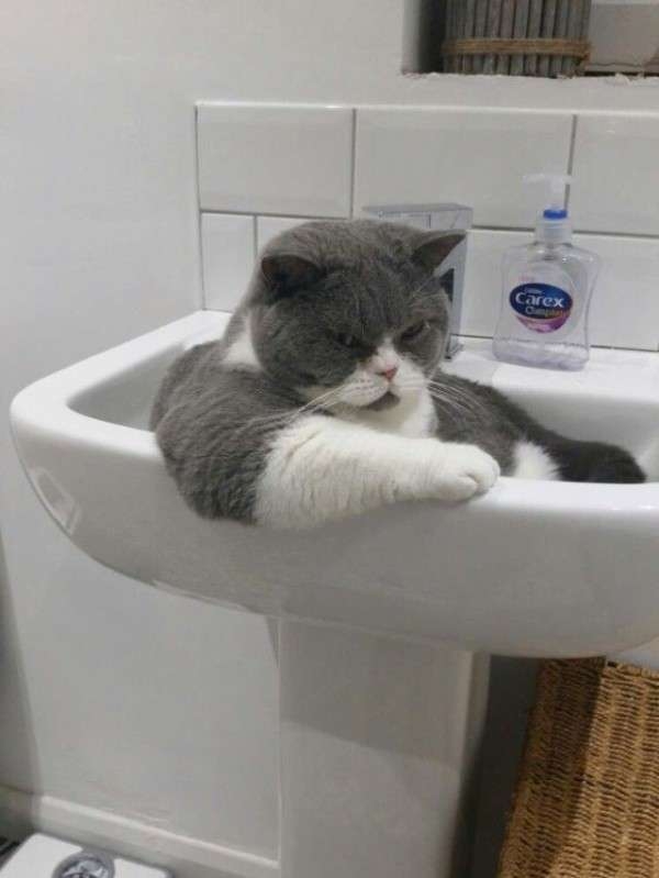 男に生まれたかった