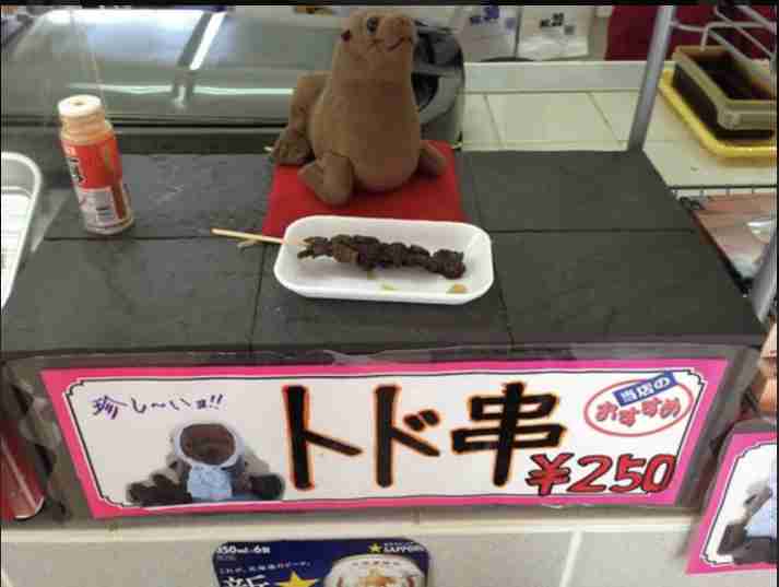 クジラの次は…東京湾に
