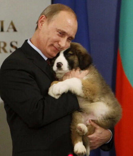 プーチン氏「勝利は確実だ、疑いない」…ロシア軍35万人増強へ