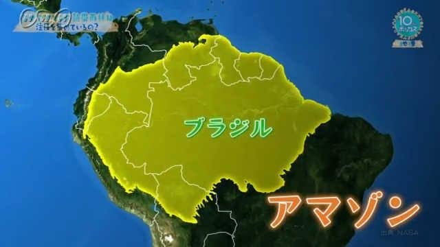 デパートに行く暇がない時にAmazonで買えるギフト！