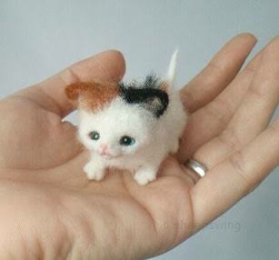 子猫の画像を貼って癒されるトピ