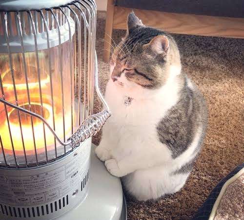 寒がりあるある言いたい