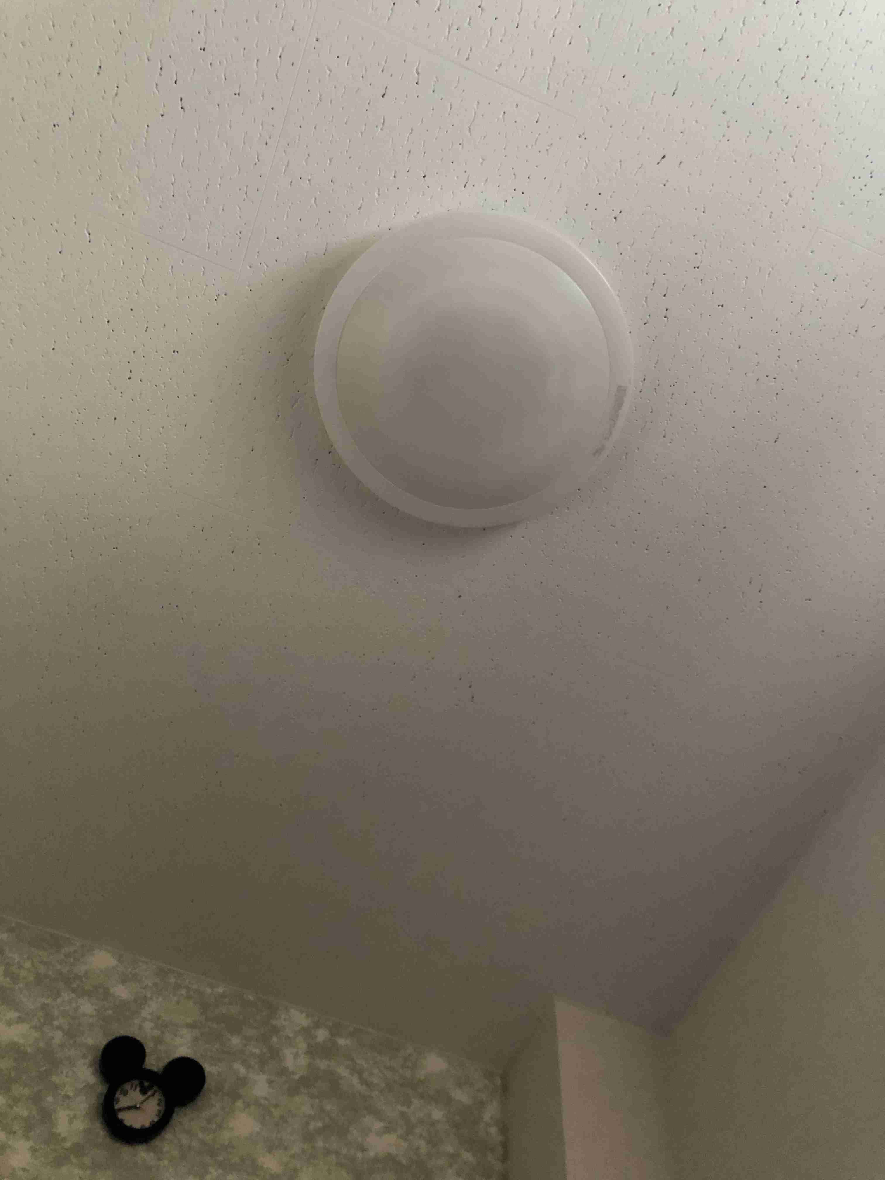 年末年始の我が家の情景を貼るトピ