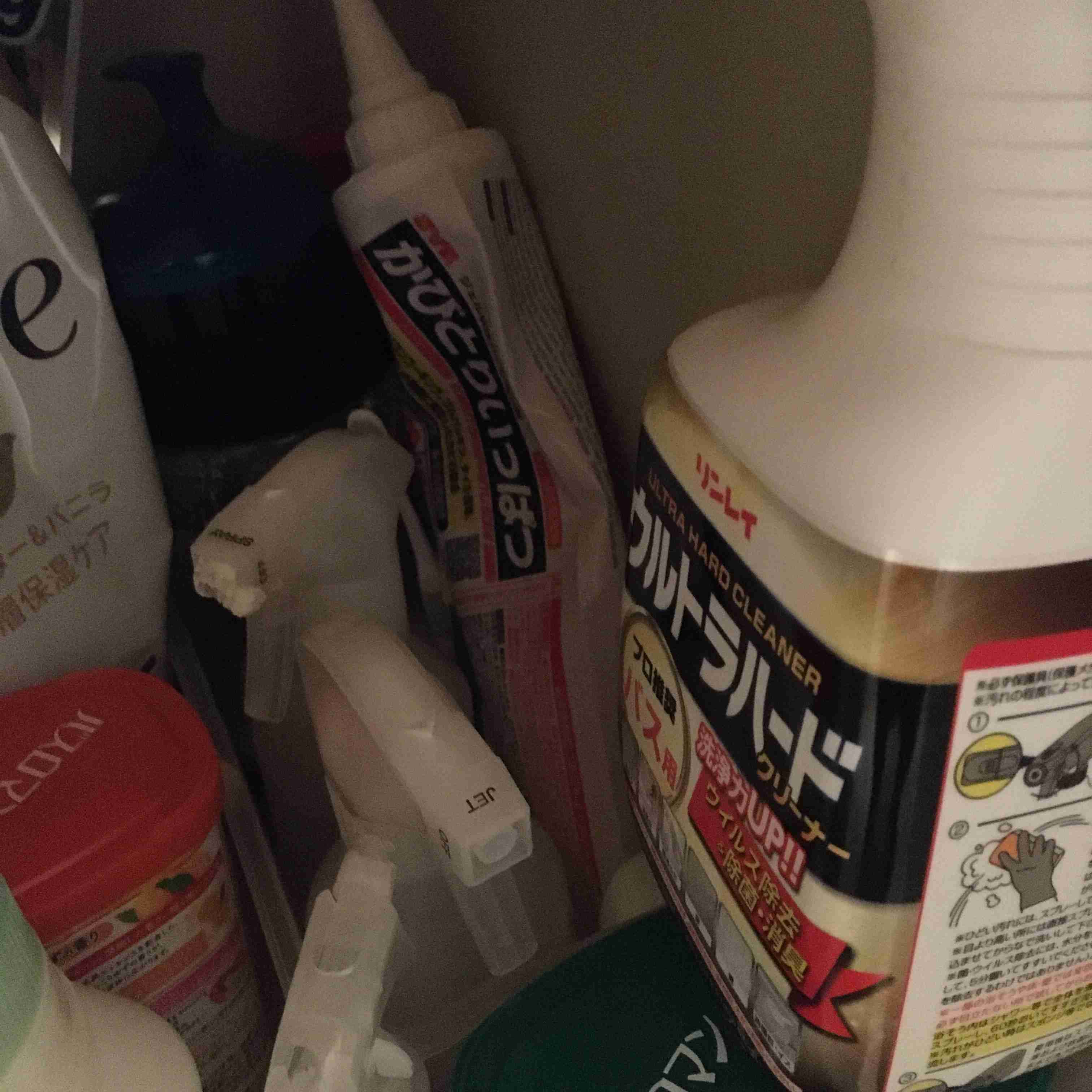 年末年始の我が家の情景を貼るトピ