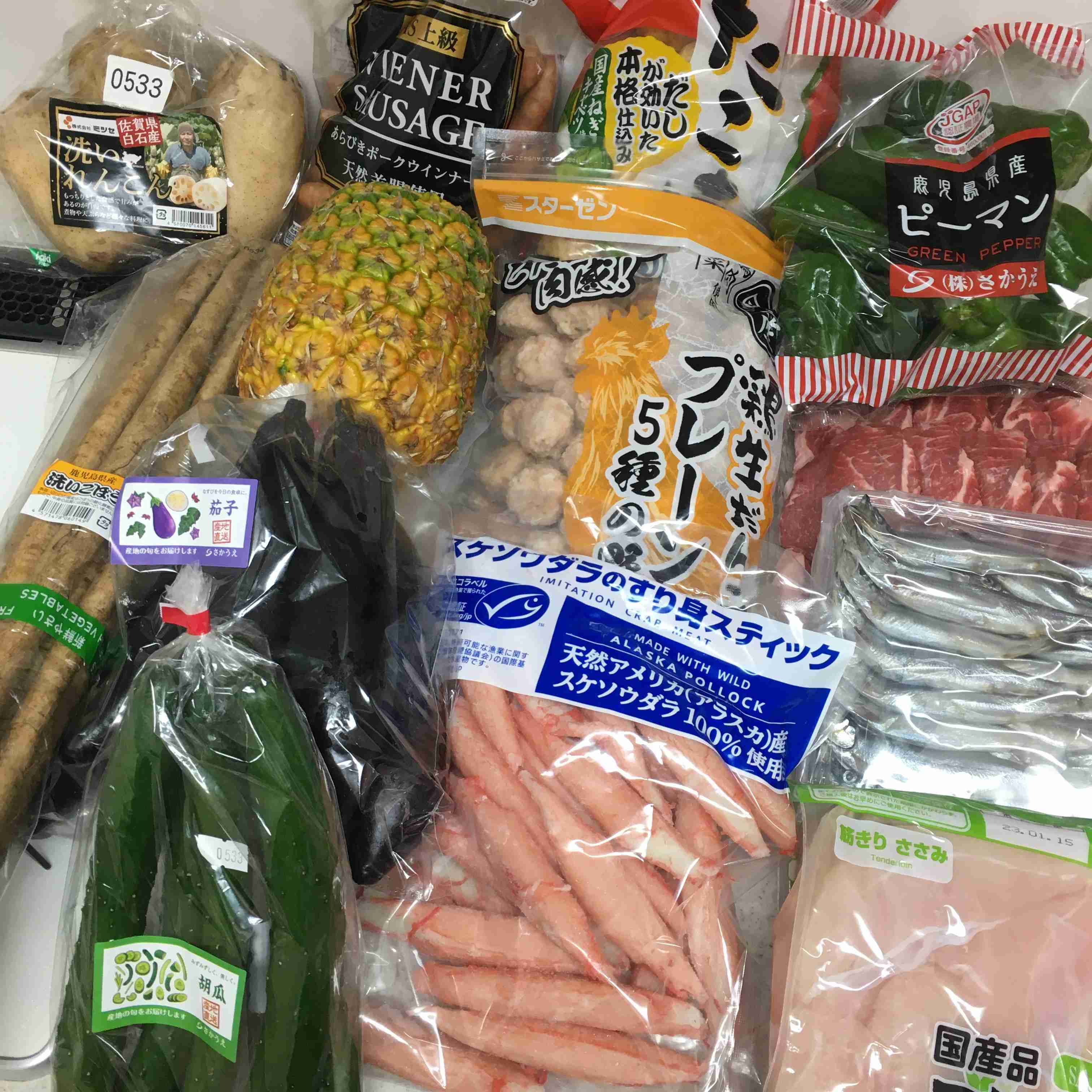 年末年始の我が家の情景を貼るトピ