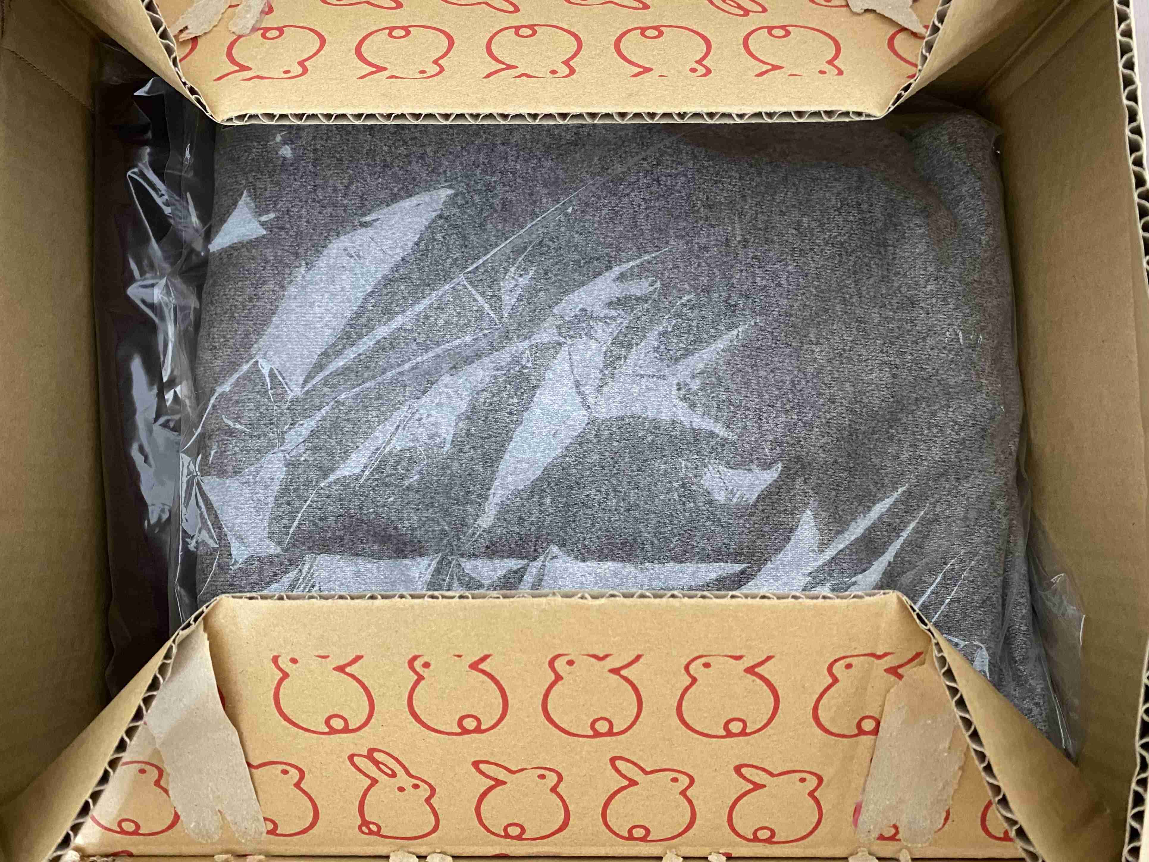 年末年始の我が家の情景を貼るトピ