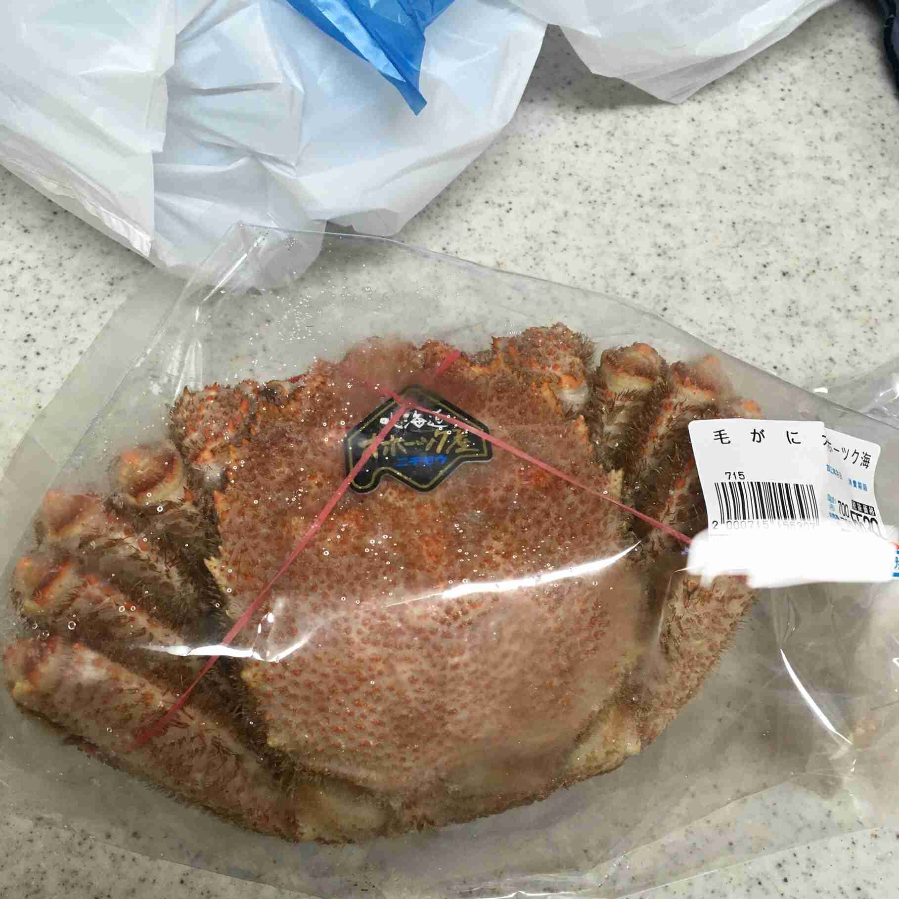 年末年始の我が家の情景を貼るトピ