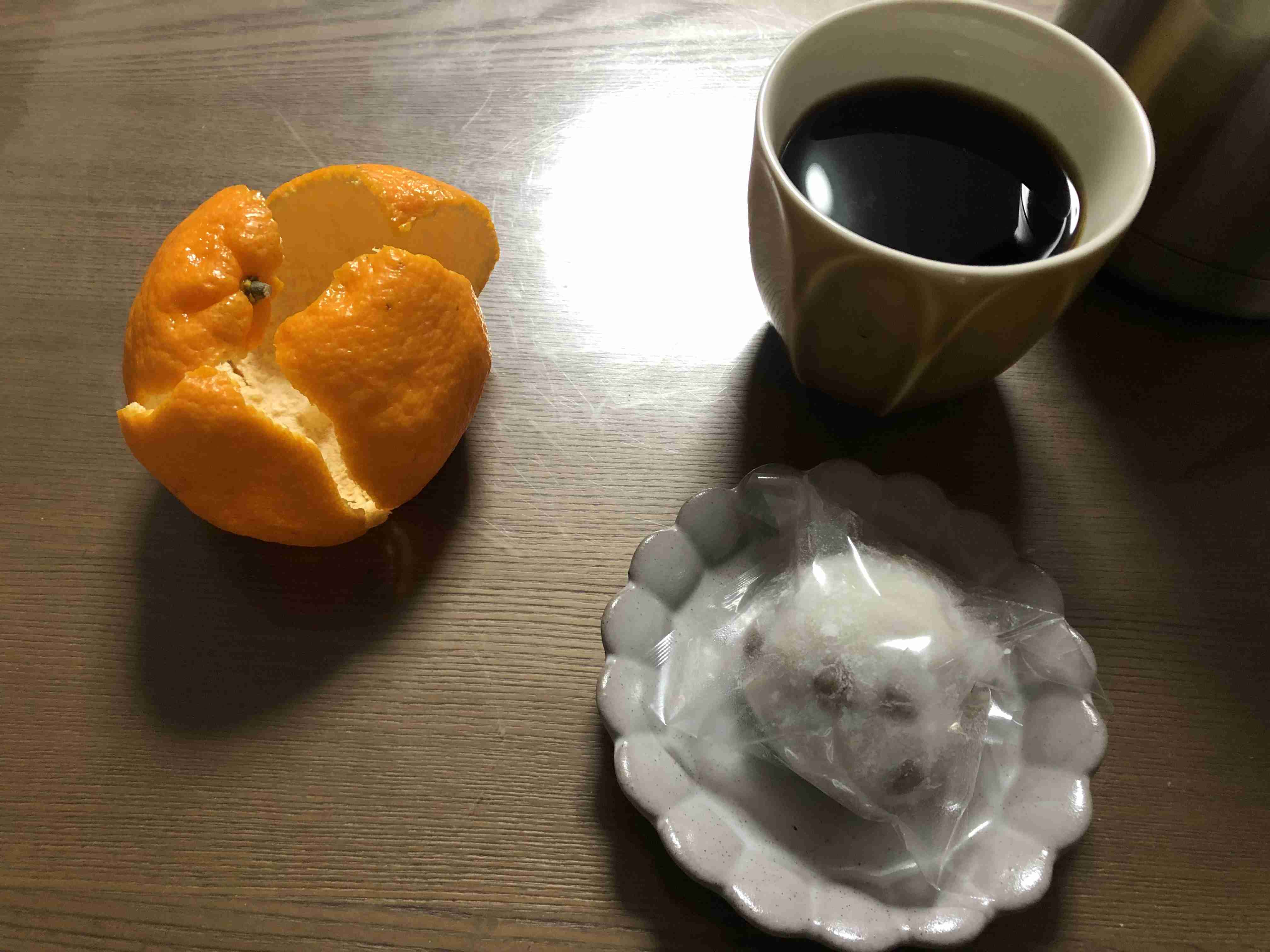 年末年始の我が家の情景を貼るトピ