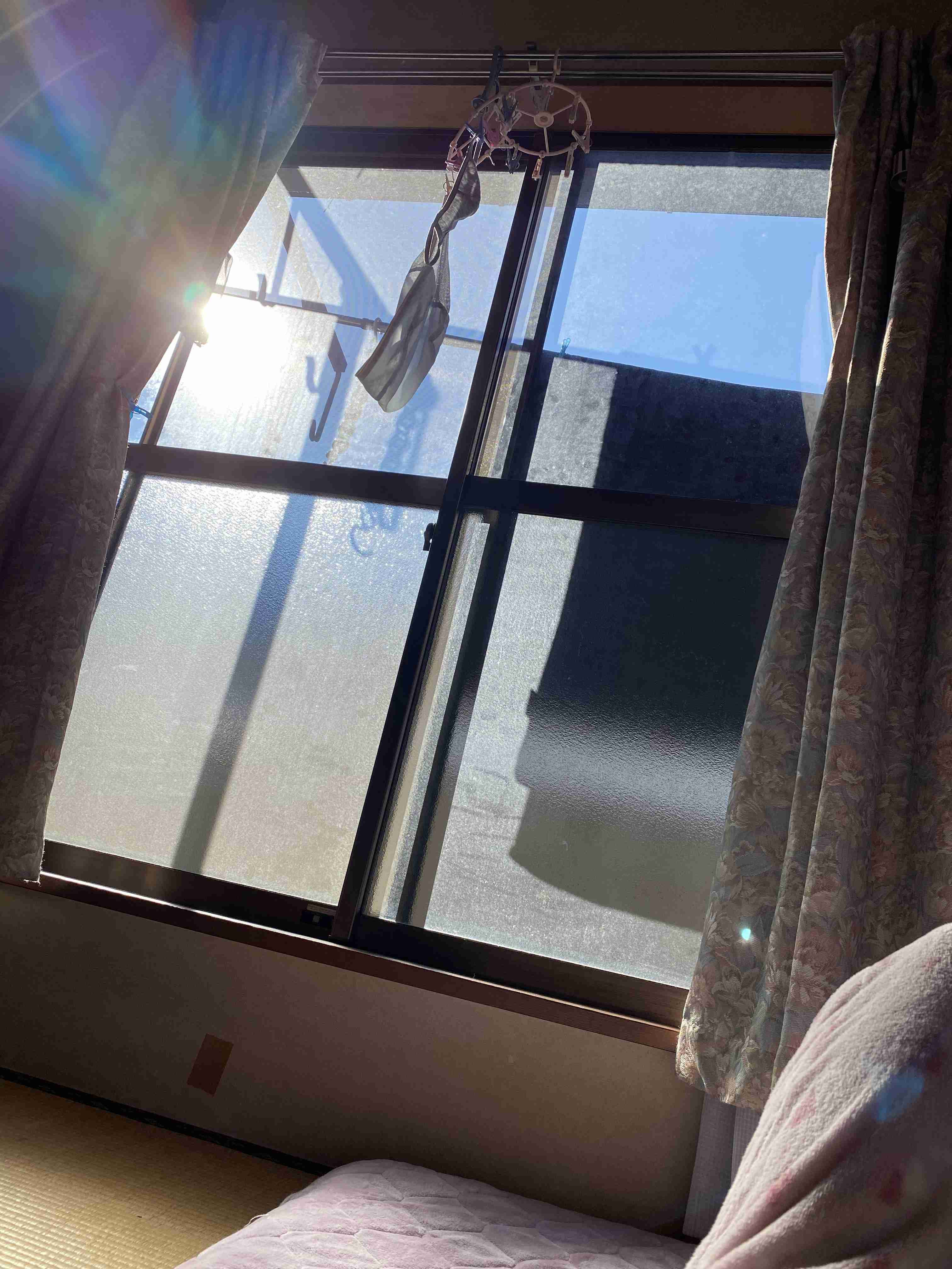 年末年始の我が家の情景を貼るトピ