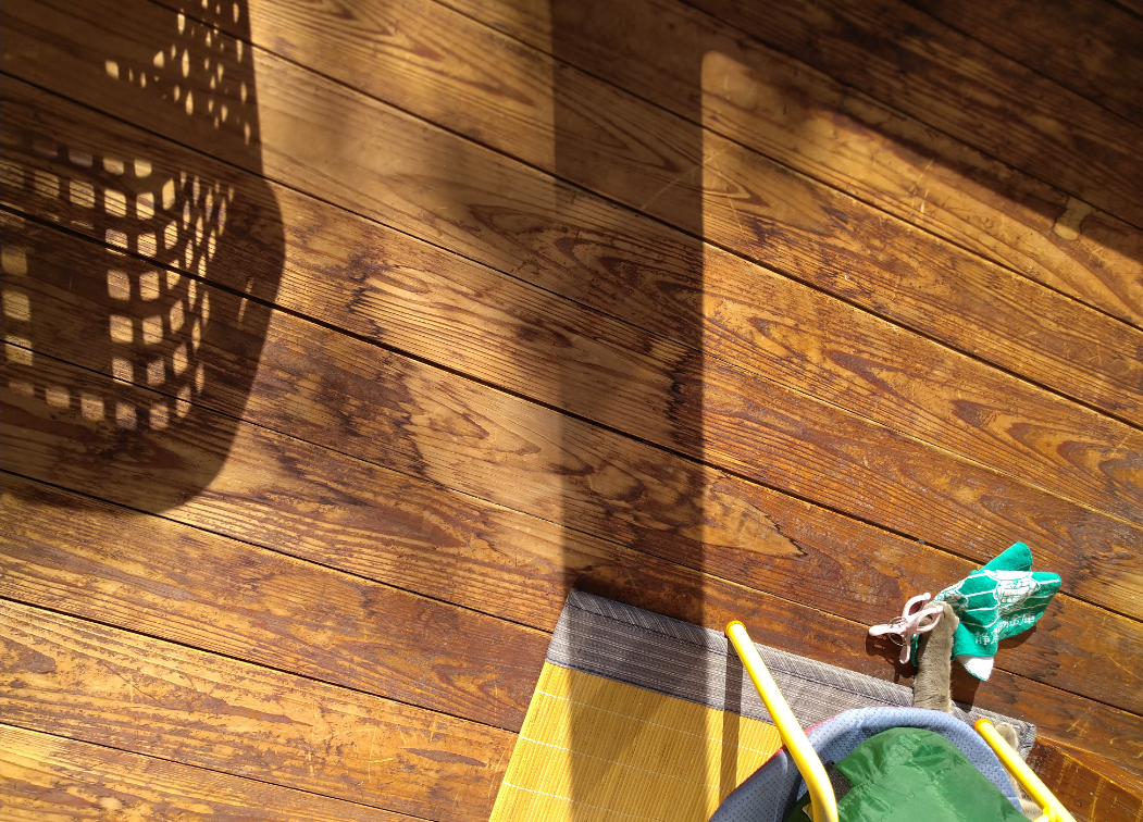 年末年始の我が家の情景を貼るトピ